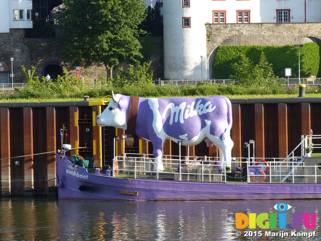 FZ016138 Giant Milka cow on Mosel in Koblenz